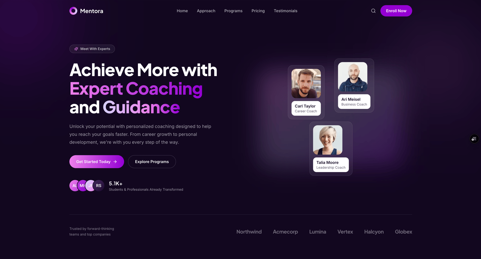 Coaching & Mentorship Kit — template screenshot