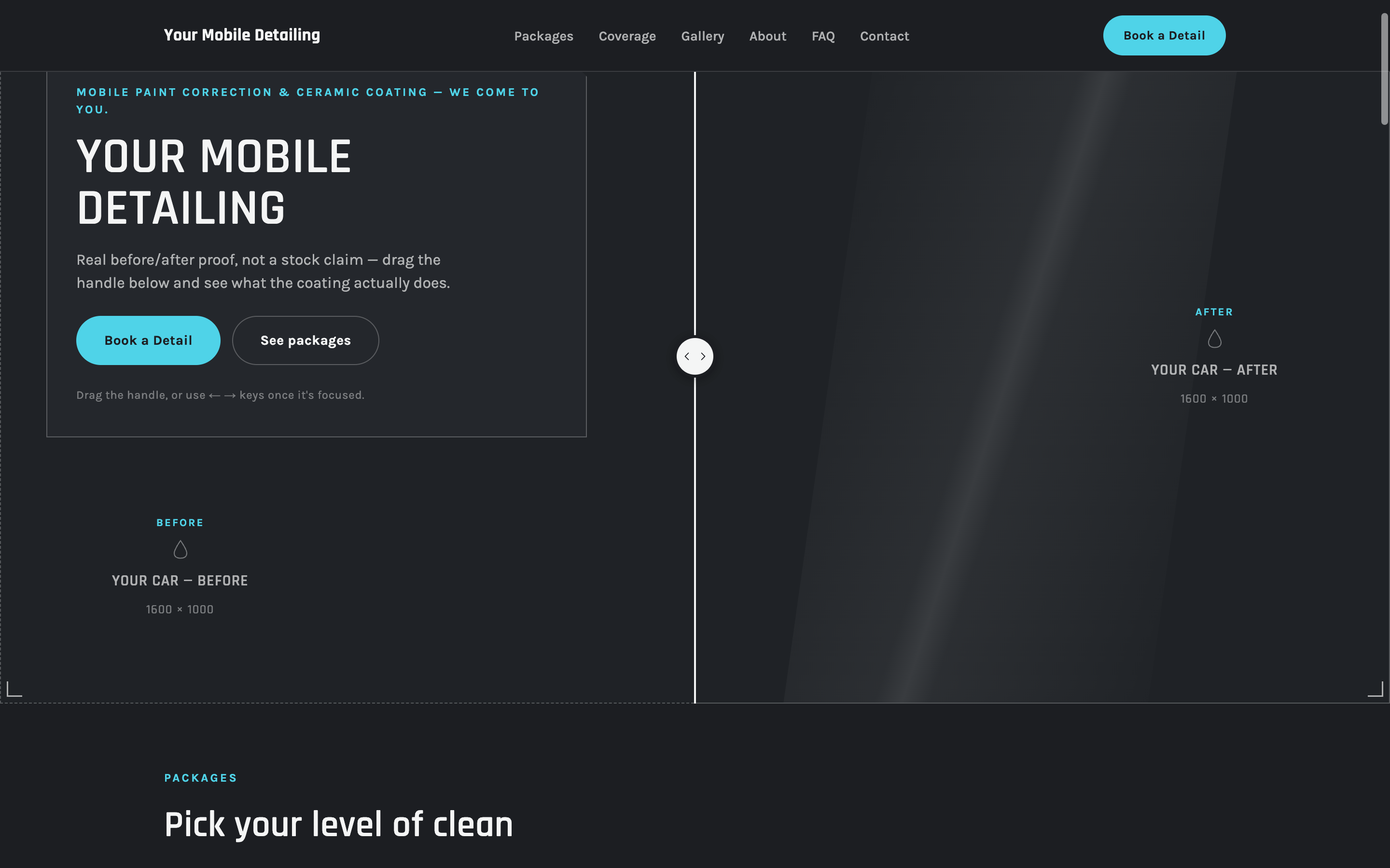 Mobile Car Detailing Kit — template screenshot